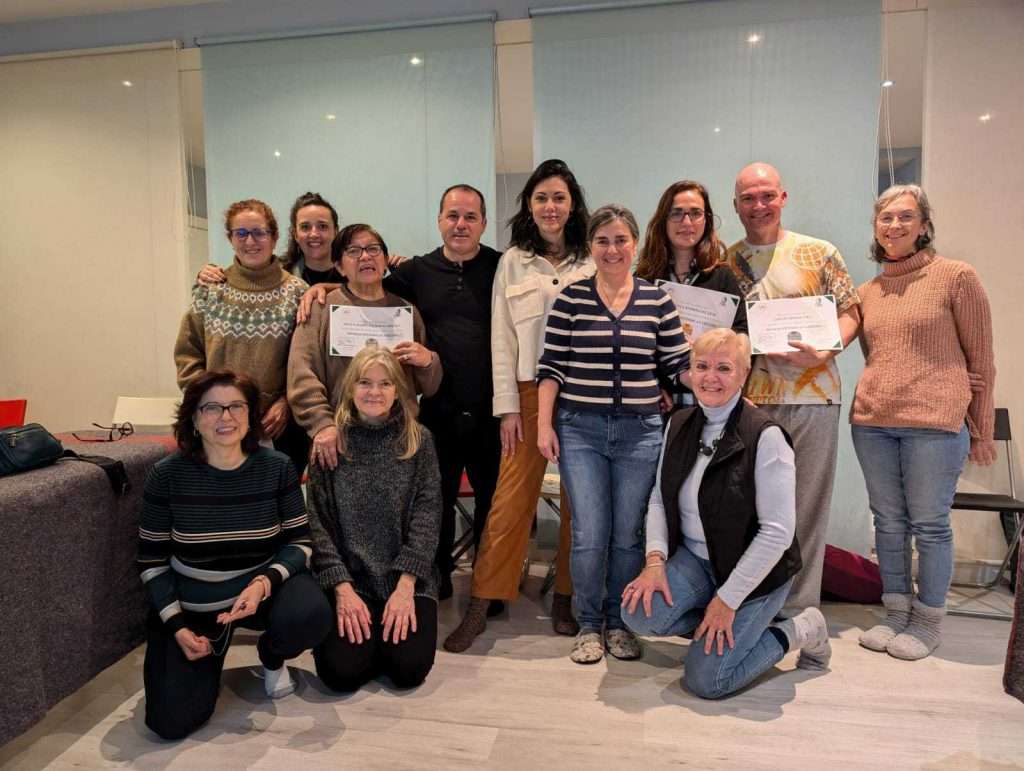 Curso BIomagnetismo Madrid